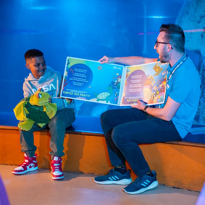 A young boy reads a book on a Magical Day Out